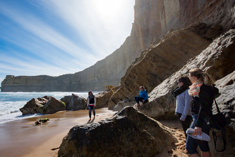 Desde Melbourne: Excursión de un día a la Gran Ruta Oceánica y la Selva TropicalMelbourne: día completo por la Great Ocean Road