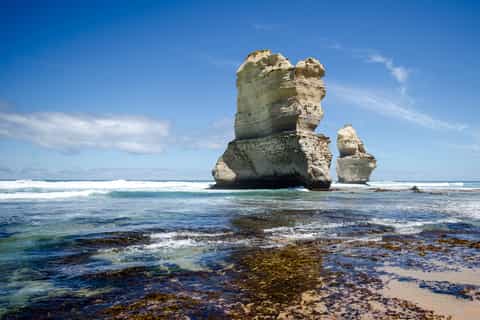 Great Ocean Road: tour di 1 giorno da Melbourne