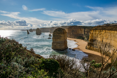 Von Melbourne aus: Great Ocean Road & Regenwald TagestourMelbourne: Great Ocean Road - Tagestour