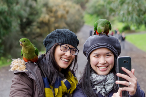 Von Melbourne aus: Great Ocean Road & Regenwald TagestourMelbourne: Great Ocean Road - Tagestour