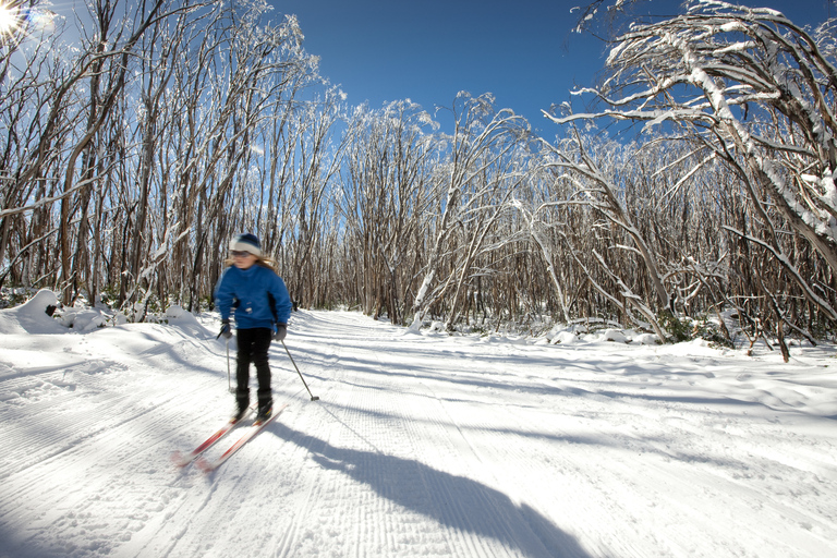 Lake Mountain: día de nieve desde Melbourne