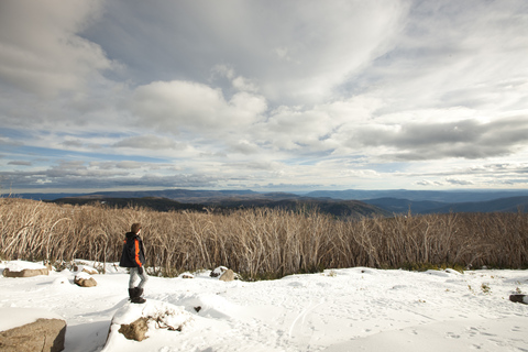 Z Melbourne: Śnieżna przygoda w ośrodku Lake Mountain