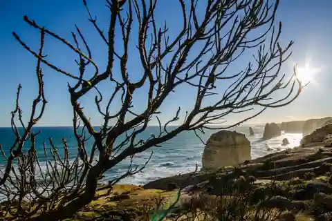 From Melbourne: 2-Day Great Ocean Road & Grampians Escape