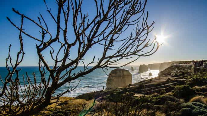 2 day great ocean road grampians escape