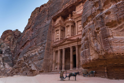 Desde Swemeh/Mar Muerto: Tour privado de día completo por PetraTransporte y billete de entrada a Petra