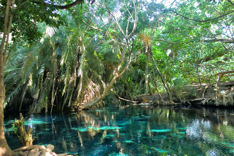 Chemka Hot Springs Day Trip