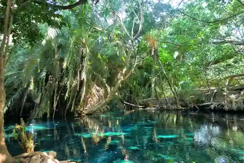 Viagem de um dia a Chemka Hot Springs
