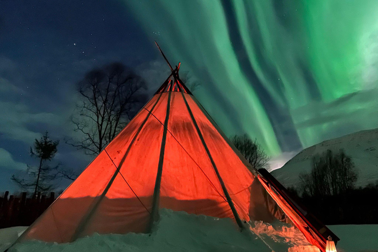 From Tromso: Arctic Wilderness Snowmobile Evening Tour