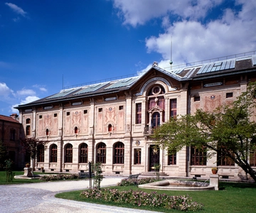 Musee National Adrien Dubouche Ticket