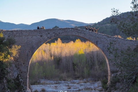 De Gérone: excursion d'une journée à Besalú, Banyoles et la Garrotxa historique