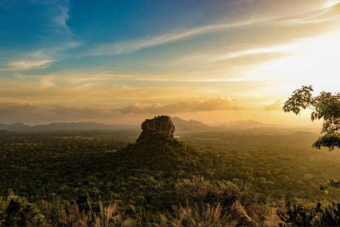 Sigiriya: Rock Hike, Elephant Safari & Polonnaruwa City Tour