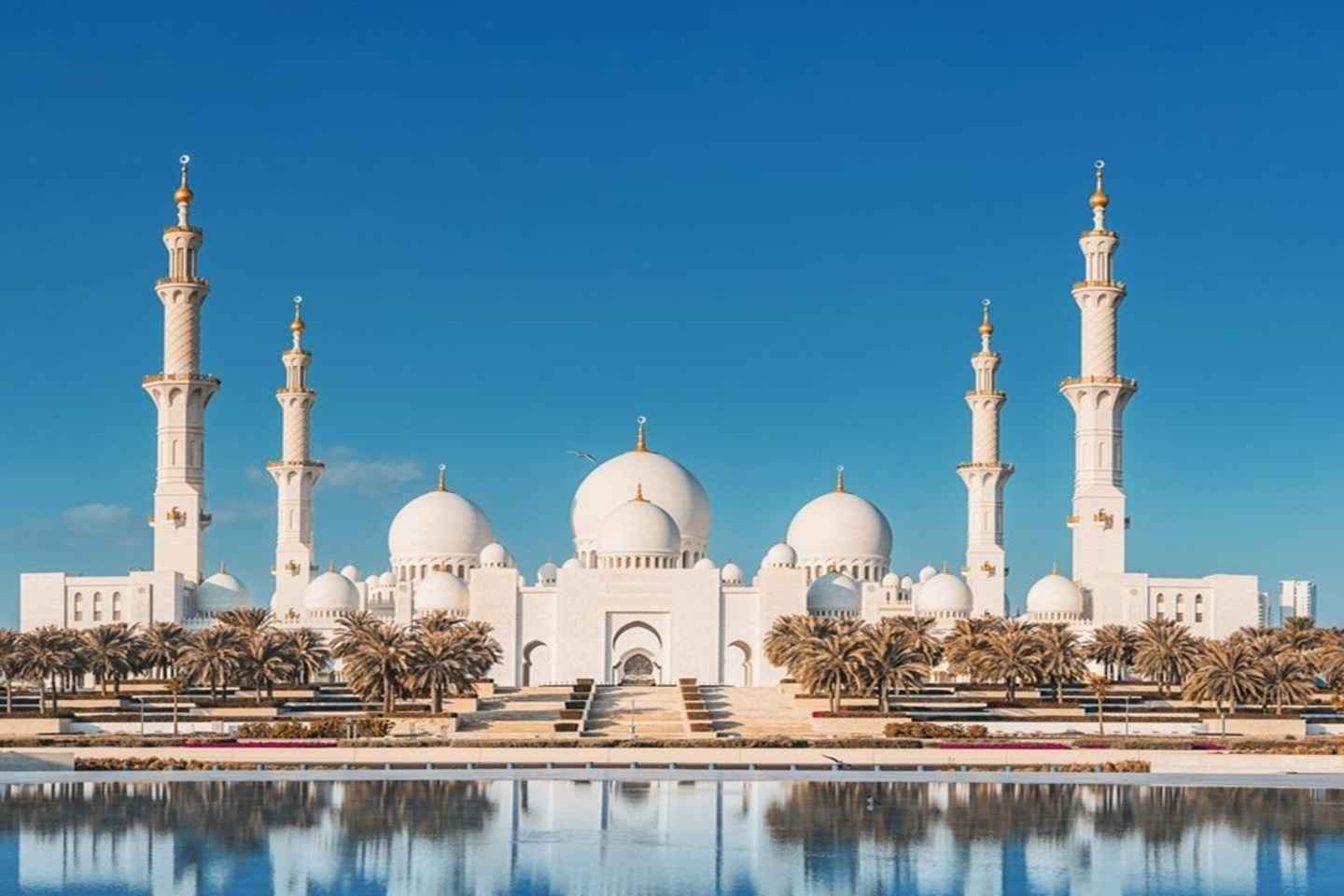 Abu Dhabi: Private Layover City Tour with Pickup & Drop-off - Abu Dhabi: Private Layover City Tour with Pickup & Drop-off
