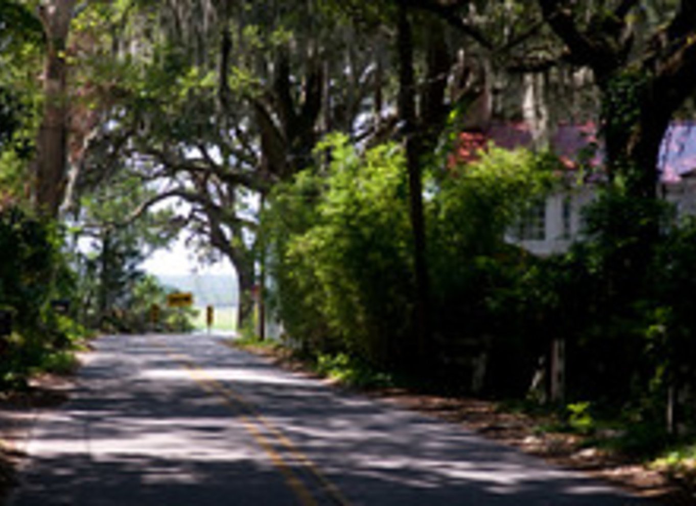 Rundvisning på Bonaventure-kirkegården og Wormsloe State Historic Site