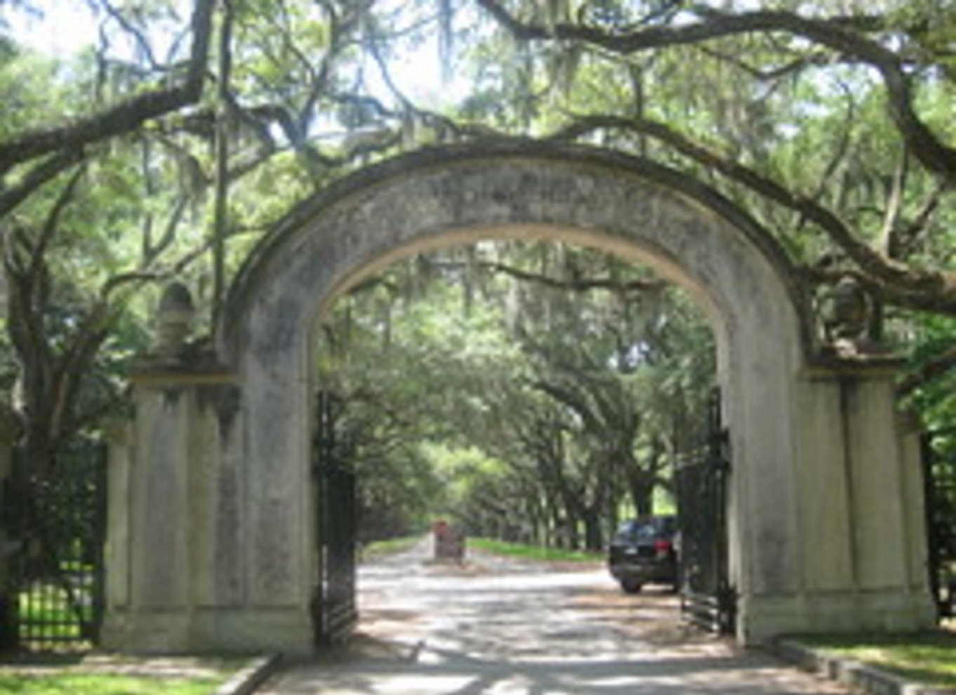 Rundvisning på Bonaventure-kirkegården og Wormsloe State Historic Site