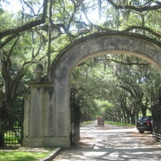 Savannah: Wormsloe Plantation and Bonaventure Cemetery Tour