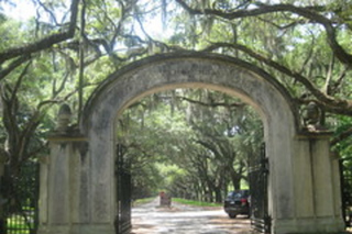 Plantation de Wormsloe: Visites guidées