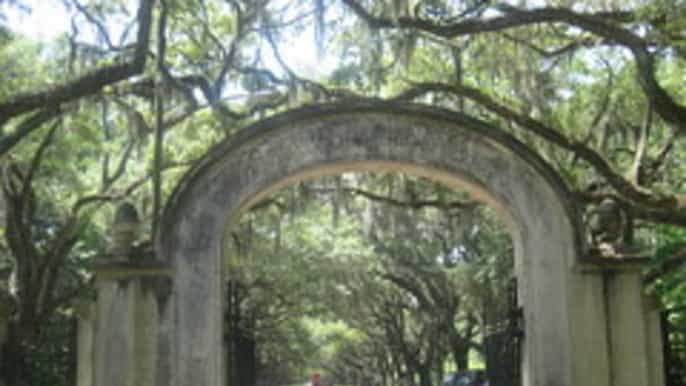 savannah wormsloe plantation and isle of hope tour