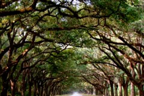 Aventura y naturaleza