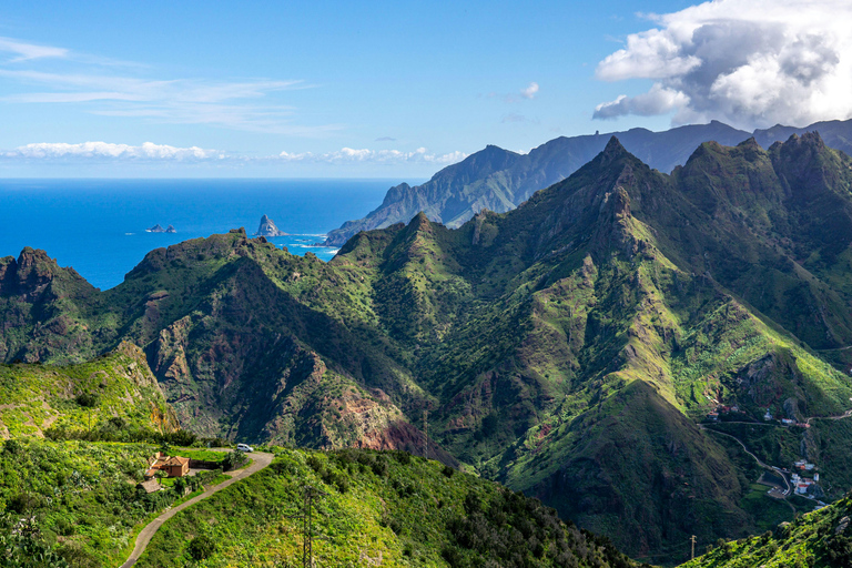 Naviguez aux Canaries : Nature, culture et plaisirs culinaires