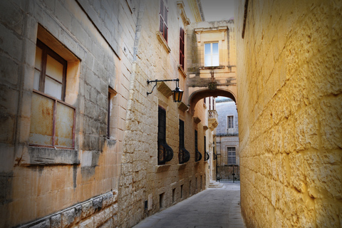 Ab Valletta: Rabat, Mdina und San Anton Gardens Tour