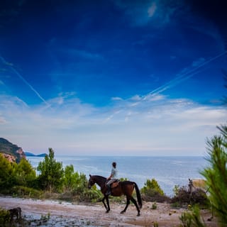 Dubrovnik Kojan Koral: Horseback Riding