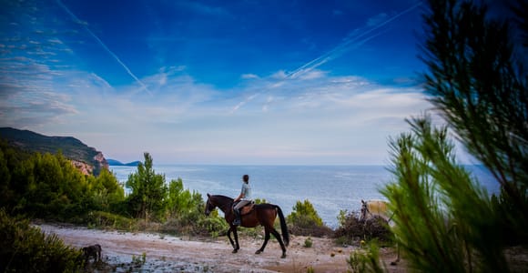 Dubrovnik Kojan Koral: Reiten