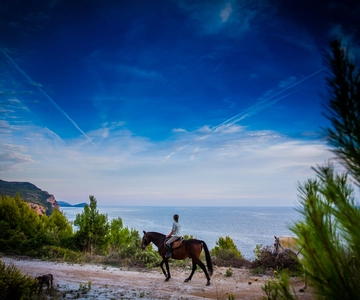 Dubrovnik Kojan Koral: Paseos a caballo