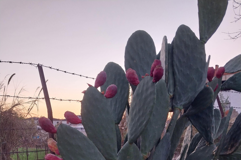 Kusadası: Countryside Tour with Lunch and Drinks