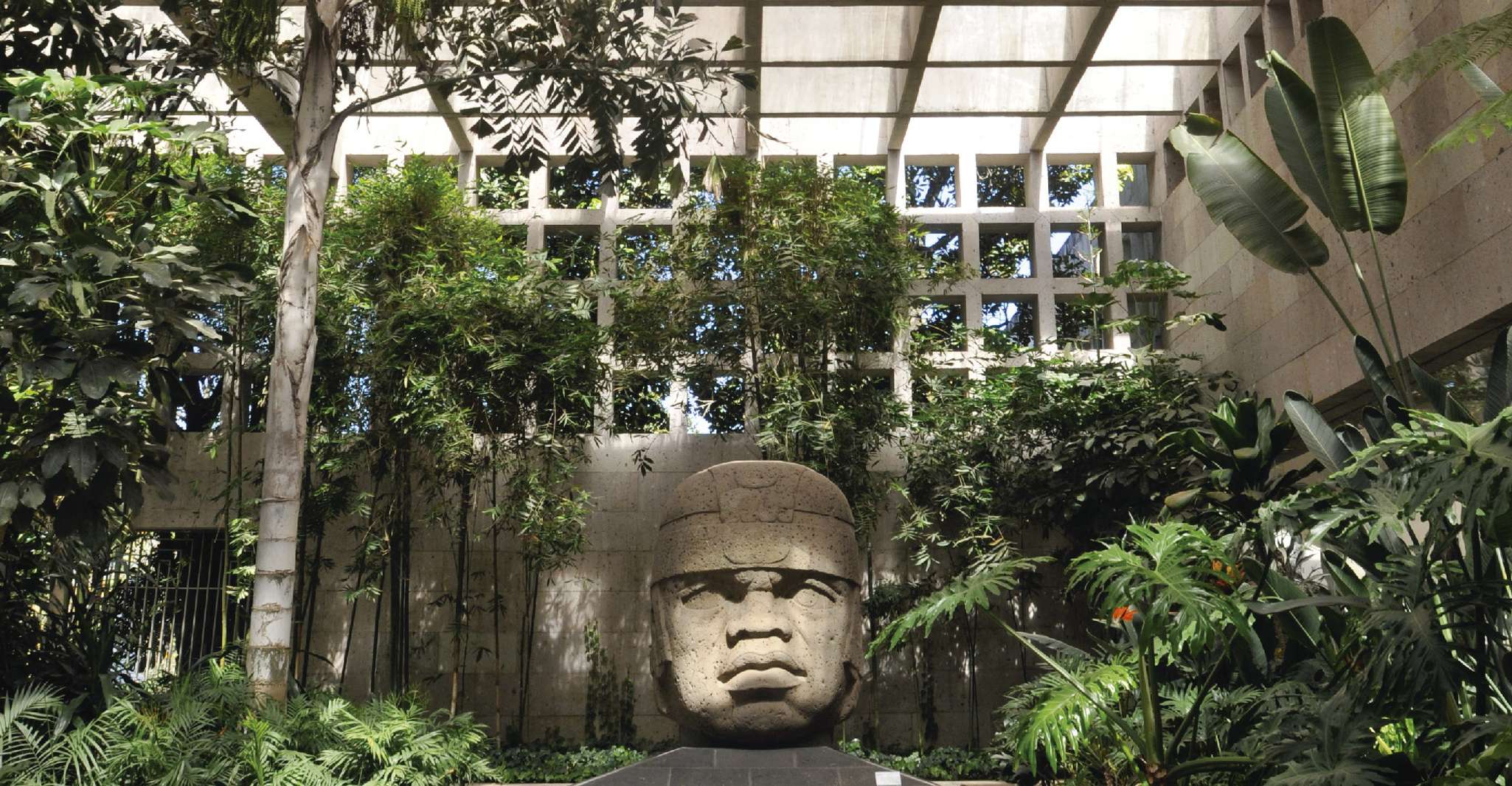 Da Veracruz, Xalapa, Xico & Coatepec Culture & Coffee Tour - Hizvo