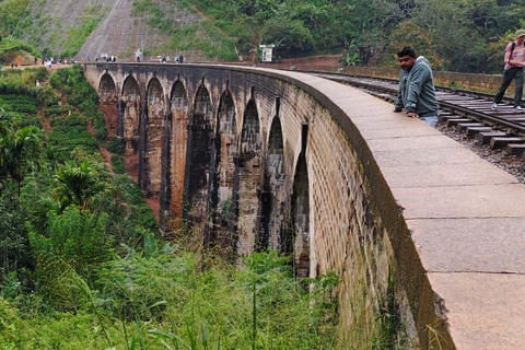 Kandy: Private Ella Journey with Tea, Falls & Arch Bridge