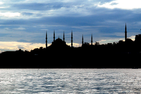 Istanbul: Tour privato di una giornata intera con guida della città vecchiaScegli questa opzione;Il trasporto non è incluso.