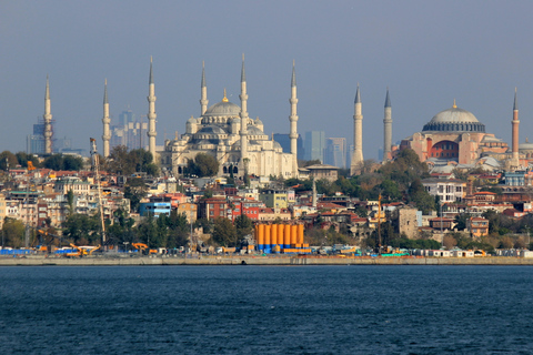 Istanbul: Heldagstur med privat guide i Gamla stanVälj detta alternativ;Transport ingår inte.