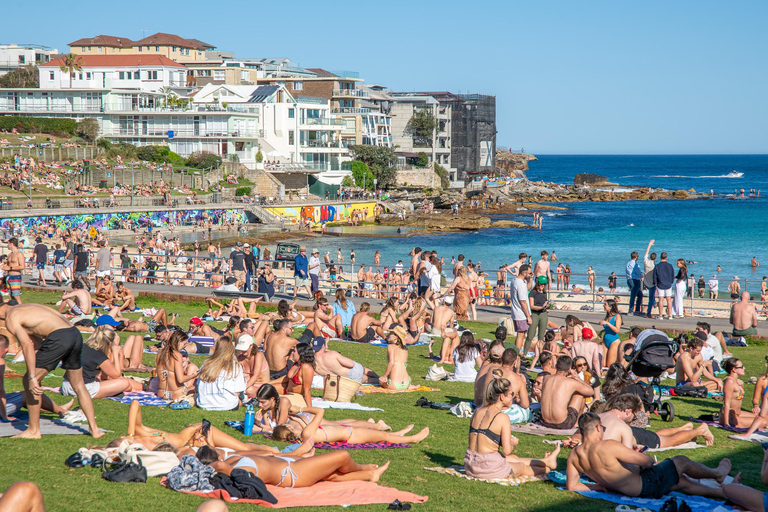 Plage de Bondi : Séance photo privée sur la célèbre plage de Bondi Beach