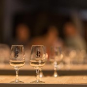 Porto: tour e degustazione di 3 vini di porto presso la cantina Poças