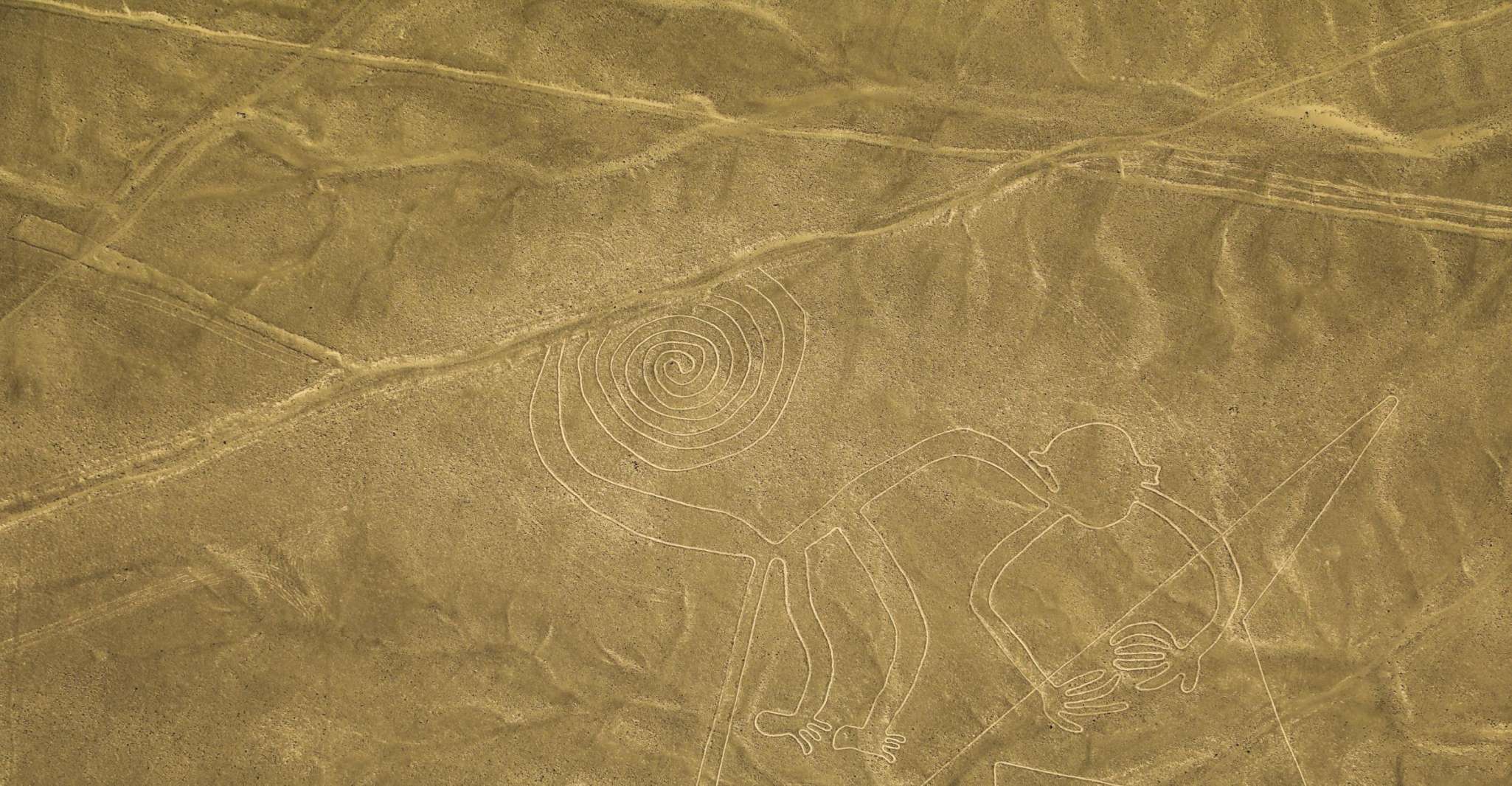 From Nazca, 35-Minute Flight Over Nazca Lines - Housity