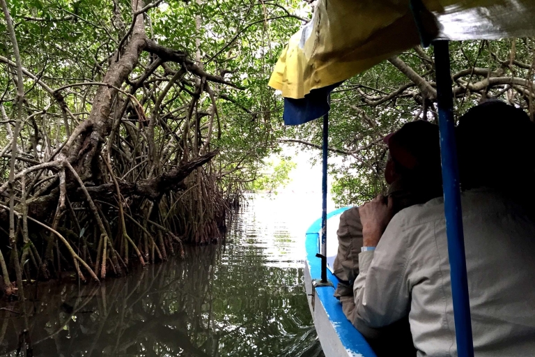 Au départ de Veracruz : Tour en bateau de la nature et des fruits de mer à Madinga