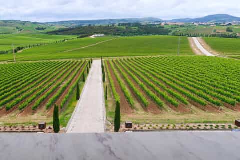 Private Wine Tour in Lisbon