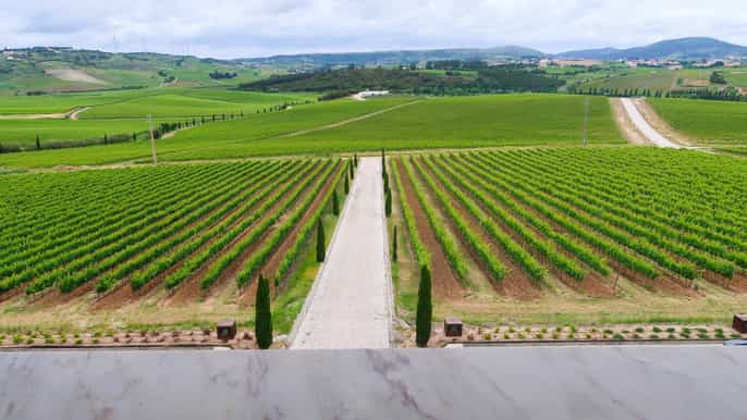private wine tour in lisbon