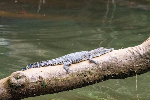 Matara: Wild Crocodile River Expedition