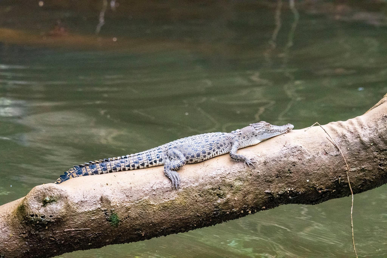 Matara: Wild Crocodile River Expedition