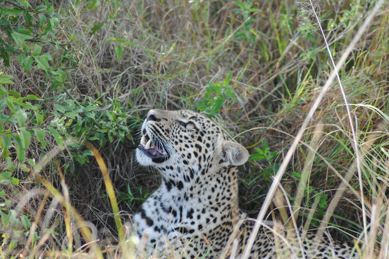 Kidepo Valley National Park 5-Day Safari Tour