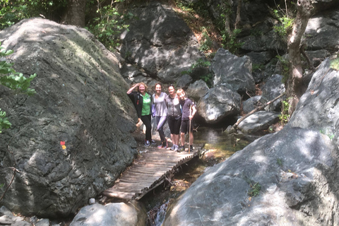 Excursie waterval Richtis en noordkust