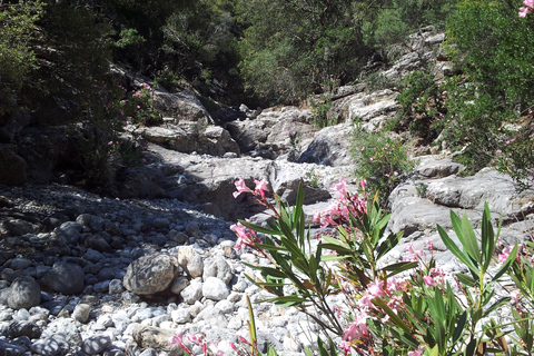 Excursie waterval Richtis en noordkust