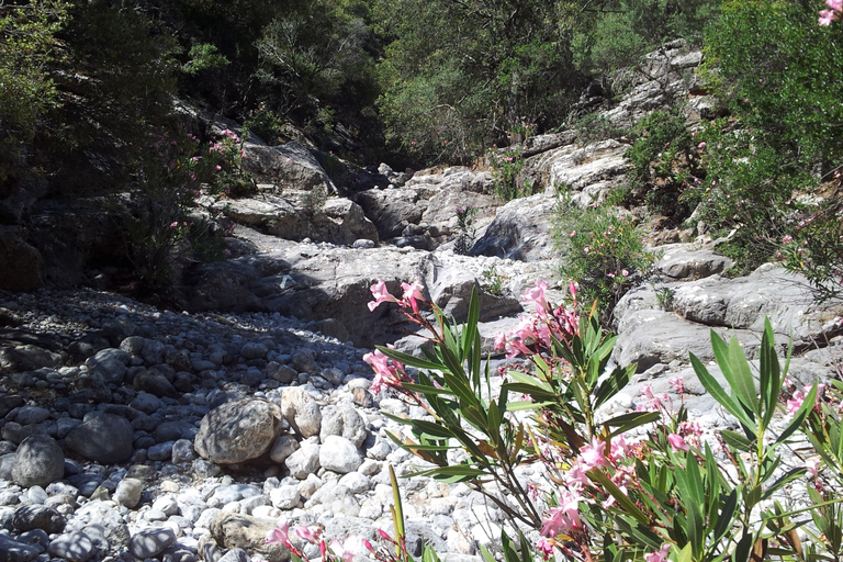 Excursie waterval Richtis en noordkust