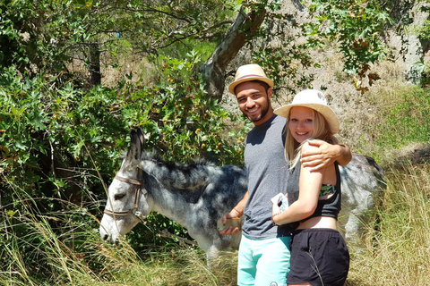 Kreta: Sarakina-Schlucht, Wälder und Südküsten-Safari