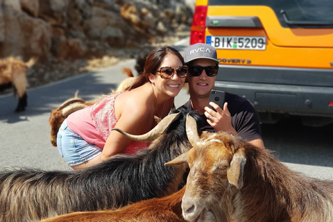 Kreta: Sarakina-Schlucht, Wälder und Südküsten-Safari