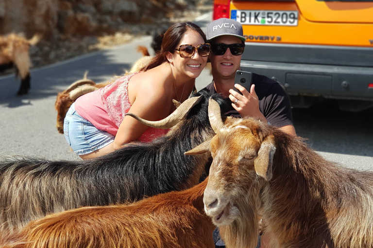 Kreta: Sarakina-Schlucht, Wälder und Südküsten-Safari