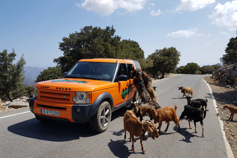 Kreta: Sarakina-Schlucht, Wälder und Südküsten-Safari