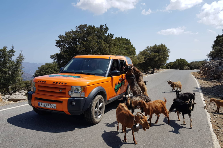 Kreta: Sarakina-Schlucht, Wälder und Südküsten-Safari