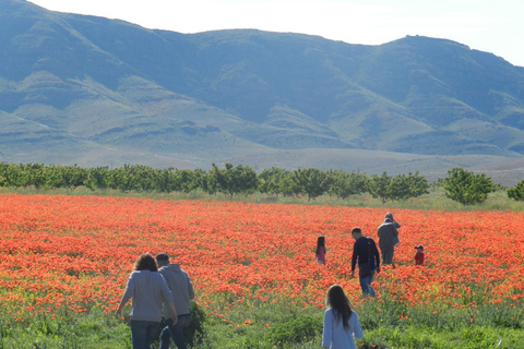 Depuis Erevan : Excursion d'une journée à Khorvirap, Noravank et Areni WineryAu départ d'Erevan : Excursion d'une journée à Khorvirap, Noravank et aux vignobles Areni